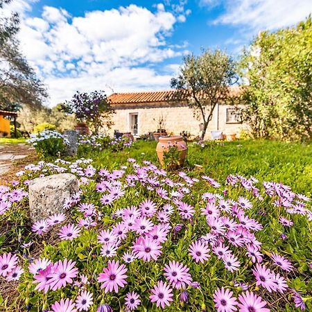Campavaglio Casa Lilliosaヴィラ エクステリア 写真