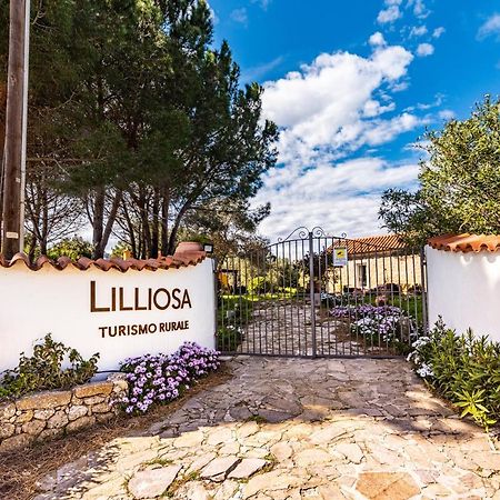 Campavaglio Casa Lilliosaヴィラ エクステリア 写真